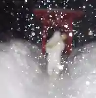 白狐山光星寺(山形県)