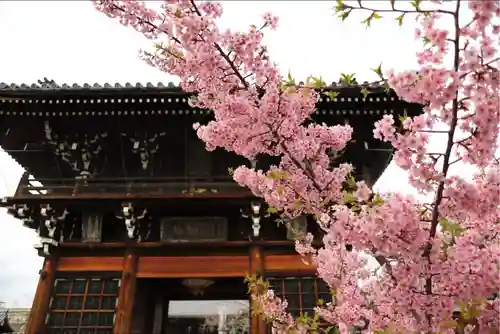 頂妙寺の山門・神門