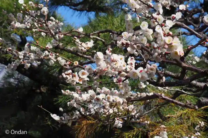 石光寺(奈良県)