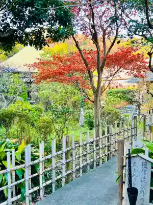 光触寺(神奈川県)