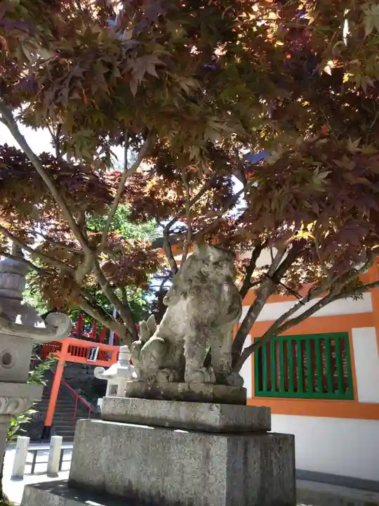 紅葉八幡宮の狛犬