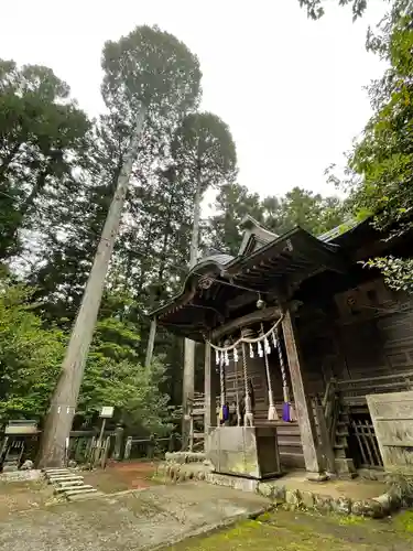 琴平神社の本殿