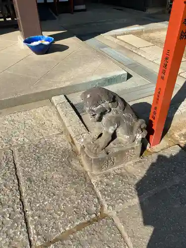 川越八幡宮の狛犬