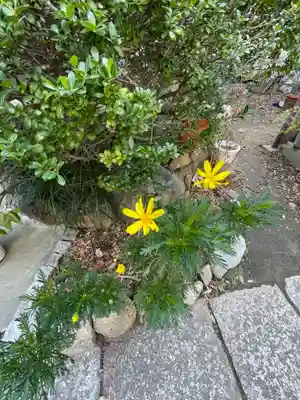 和光寺(大阪府)