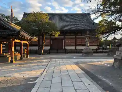 東寺（教王護国寺）(京都府)