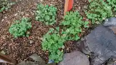 日光二荒山神社の自然