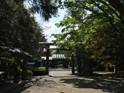 琴似神社(北海道)