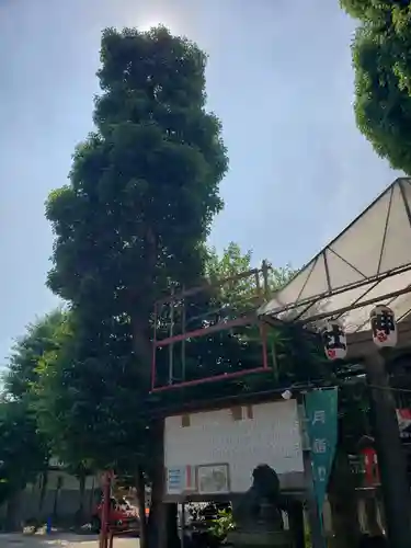 幡ケ谷氷川神社(東京都)