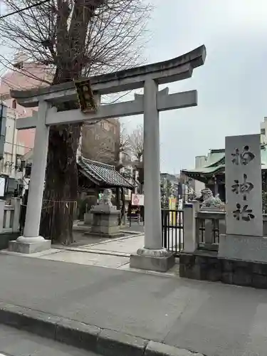 柏神社(千葉県)
