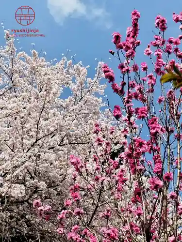 立志神社(滋賀県)