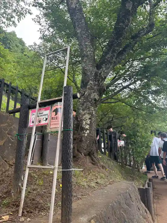 新倉富士浅間神社(山梨県)