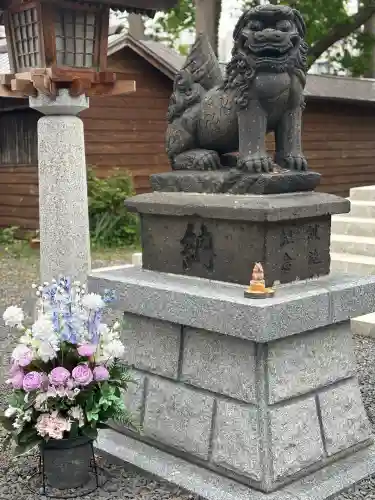 札幌諏訪神社の狛犬