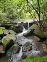 稲荷神社(鹿児島県)
