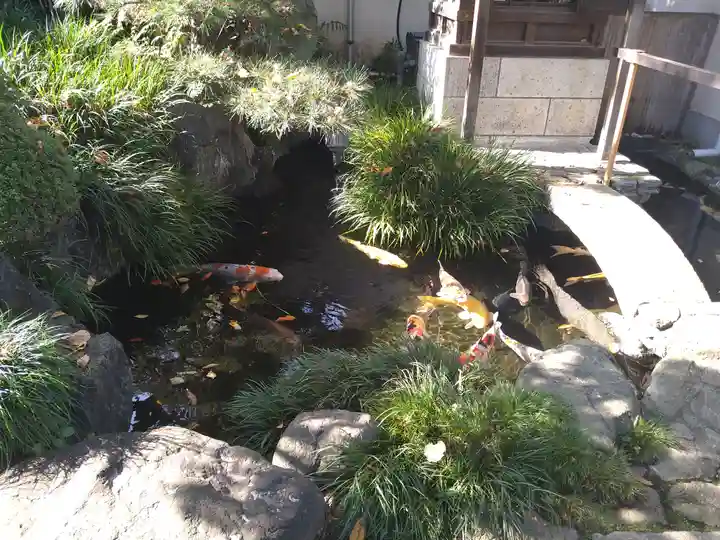 東光寺(東京都)