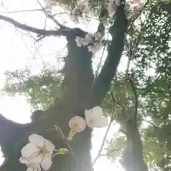 宗形神社の自然