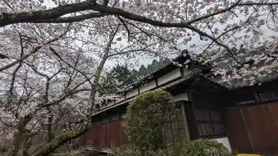 勝持寺（花の寺）(京都府)