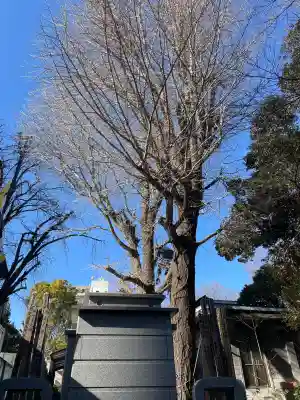 長元寺の{uncategorized: "未分類", other: "その他", undefined: "問題あり", building: "その他建物", grave: "お墓", sacred_gate: "鳥居", guardian: "狛犬", statue: "像", buddha: "仏像", history: "歴史", nature: "自然", garden: "庭園", animal: "動物", pagoda: "塔", temizu: "手水舎", mountain_gate: "山門・神門", sanctuary: "本殿・本堂", subordinate: "末社・摂社", art: "芸術", scenery: "景色", jizo: "地蔵", ema: "絵馬", goshuin: "御朱印", omikuji: "おみくじ", items: "授与品その他", amulet: "お守り", goshuincho: "御朱印帳", eats: "食事", festival: "お祭り", votive_dance: "神楽", shichigosan: "七五三参", wedding: "結婚式", experience: "体験その他", initially: "初詣", around: "周辺", anti_infection: "感染症対策"}
