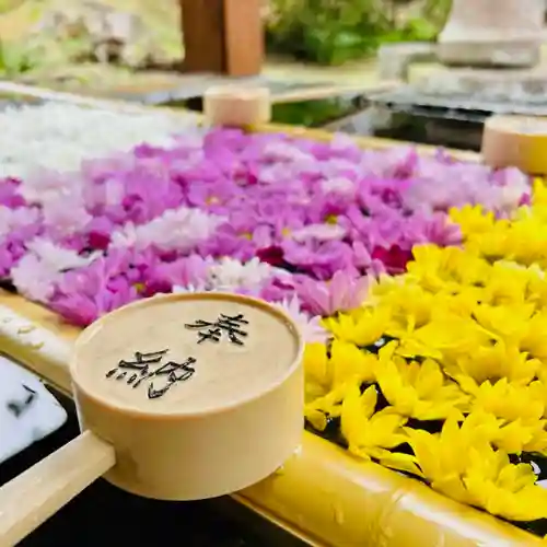 土津神社｜こどもと出世の神さまの手水