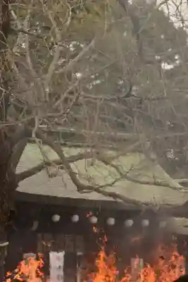 大宮八幡宮の初詣