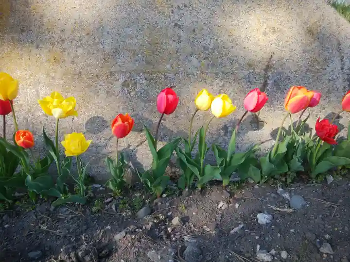 虻田神社の自然
