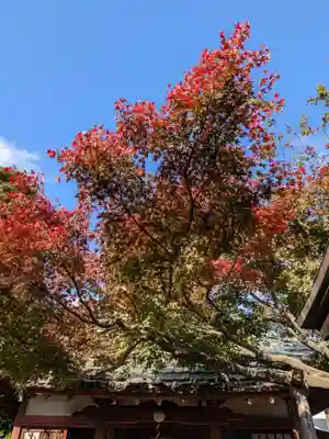 常性寺(東京都)