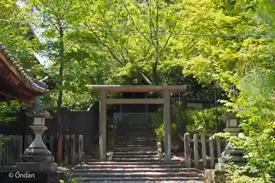 今宮神社(京都府)