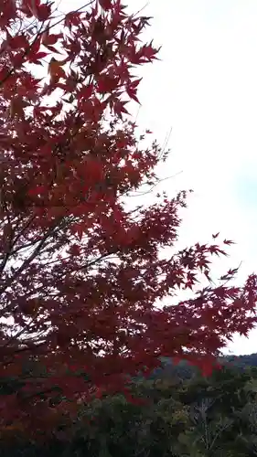 牛窓神社の自然