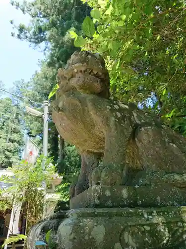 熊野神社の狛犬