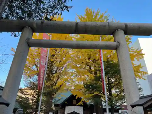 北海道神宮頓宮の鳥居