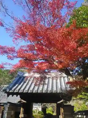 浄光明寺の山門・神門