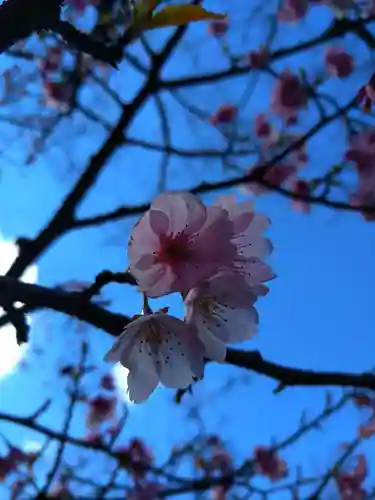 靖國神社(東京都)