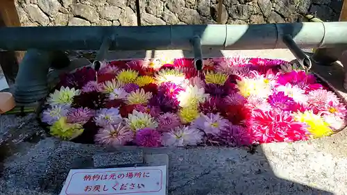 岡寺（龍蓋寺）(奈良県)