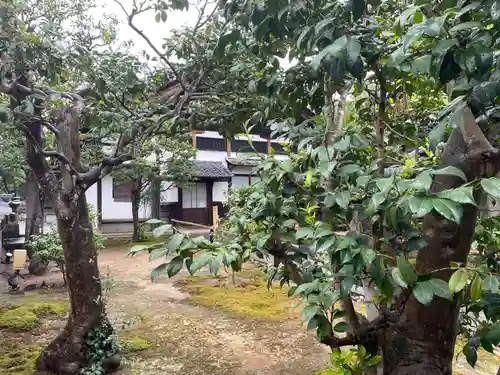 月眞院(京都府)