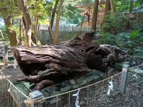 泉神社の{uncategorized: "未分類", other: "その他", undefined: "問題あり", building: "その他建物", grave: "お墓", sacred_gate: "鳥居", guardian: "狛犬", statue: "像", buddha: "仏像", history: "歴史", nature: "自然", garden: "庭園", animal: "動物", pagoda: "塔", temizu: "手水舎", mountain_gate: "山門・神門", sanctuary: "本殿・本堂", subordinate: "末社・摂社", art: "芸術", scenery: "景色", jizo: "地蔵", ema: "絵馬", goshuin: "御朱印", omikuji: "おみくじ", items: "授与品その他", amulet: "お守り", goshuincho: "御朱印帳", eats: "食事", festival: "お祭り", votive_dance: "神楽", shichigosan: "七五三参", wedding: "結婚式", experience: "体験その他", initially: "初詣", around: "周辺", anti_infection: "感染症対策"}