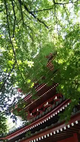 本土寺のその他建物