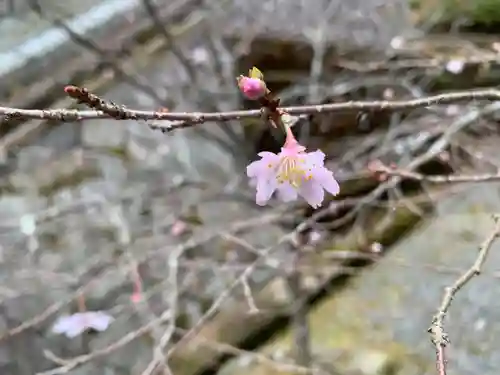播州清水寺の自然