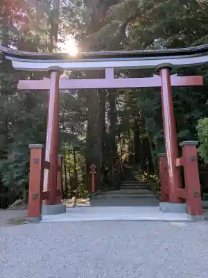 霧島東神社の{uncategorized: "未分類", other: "その他", undefined: "問題あり", building: "その他建物", grave: "お墓", sacred_gate: "鳥居", guardian: "狛犬", statue: "像", buddha: "仏像", history: "歴史", nature: "自然", garden: "庭園", animal: "動物", pagoda: "塔", temizu: "手水舎", mountain_gate: "山門・神門", sanctuary: "本殿・本堂", subordinate: "末社・摂社", art: "芸術", scenery: "景色", jizo: "地蔵", ema: "絵馬", goshuin: "御朱印", omikuji: "おみくじ", items: "授与品その他", amulet: "お守り", goshuincho: "御朱印帳", eats: "食事", festival: "お祭り", votive_dance: "神楽", shichigosan: "七五三参", wedding: "結婚式", experience: "体験その他", initially: "初詣", around: "周辺", anti_infection: "感染症対策"}