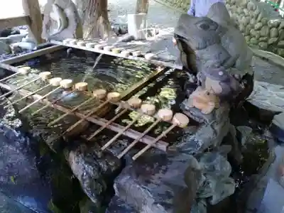 椿大神社の手水舎