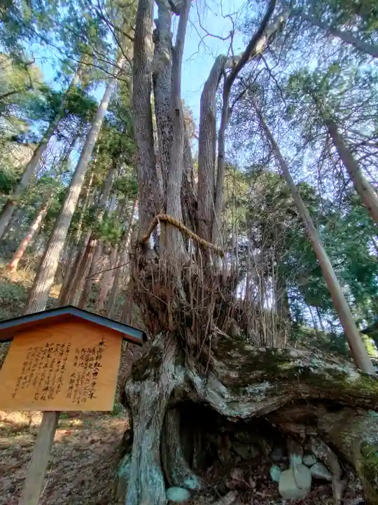 飛驒一宮水無神社(岐阜県)
