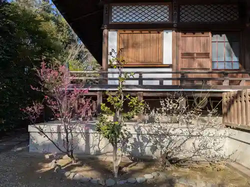 福蔵院(東京都)