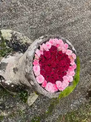 丹生都比売神社(和歌山県)