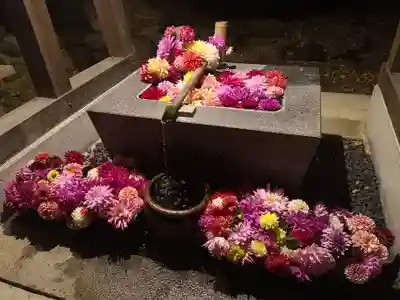高司神社〜むすびの神の鎮まる社〜の手水舎