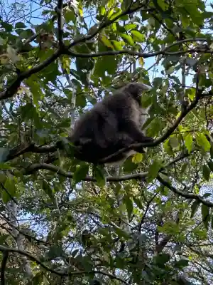 穂高神社奥宮(長野県)