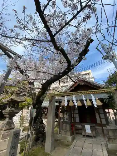 神明神社の自然