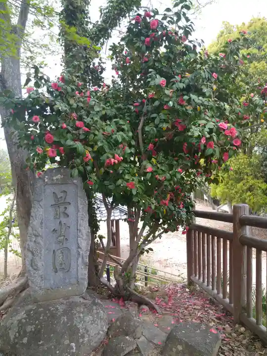 千光寺奥之院の自然