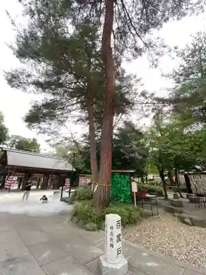 櫻木神社(千葉県)