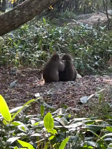 穂高神社奥宮(長野県)