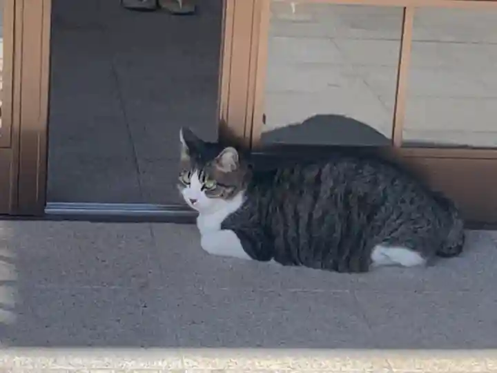 山梨縣護國神社の動物