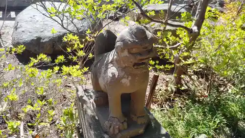 菊田神社の狛犬