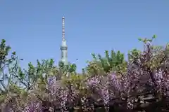 亀戸天神社(東京都)